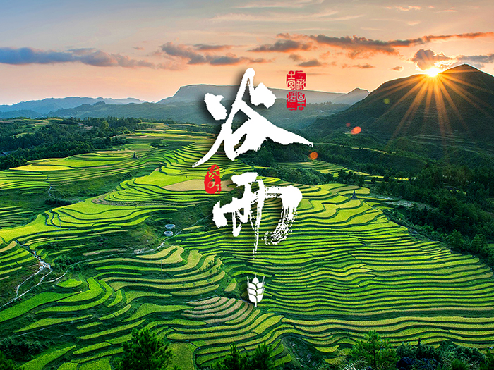 谷雨：春天的結束，生機的開始
