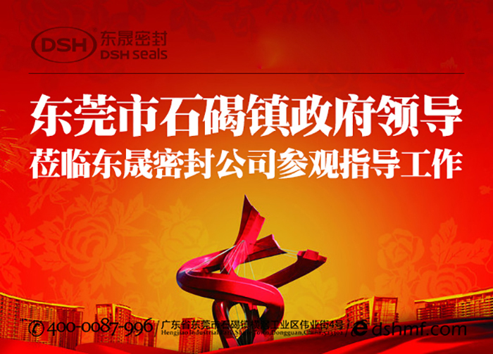 東莞市石碣鎮(zhèn)政府領(lǐng)導(dǎo)一行蒞臨愛密特密封公司總部參觀指導(dǎo)工作